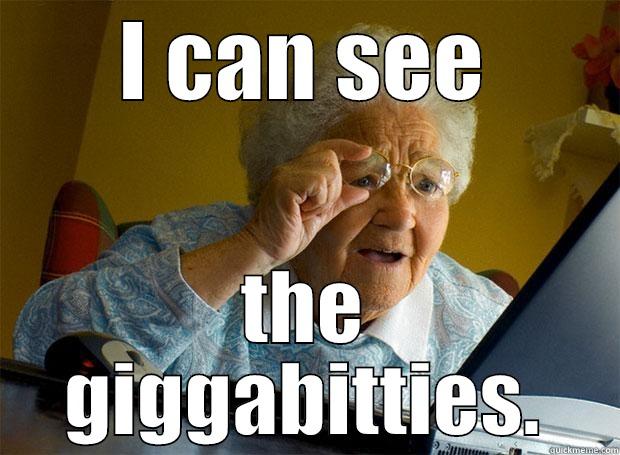 I CAN SEE THE GIGGABITTIES. Grandma finds the Internet