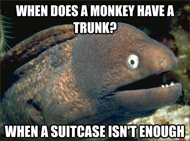 When does a monkey have a trunk? When a suitcase isn't enough - When does a monkey have a trunk? When a suitcase isn't enough  Bad Joke Eel