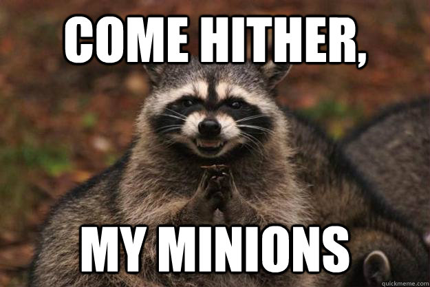 come hither, my minions - come hither, my minions  Evil Plotting Raccoon