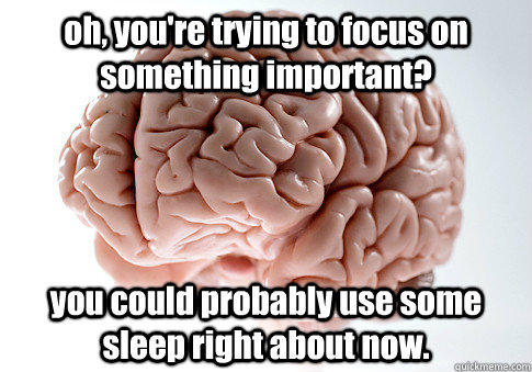 oh, you're trying to focus on something important? you could probably use some sleep right about now.  Scumbag Brain