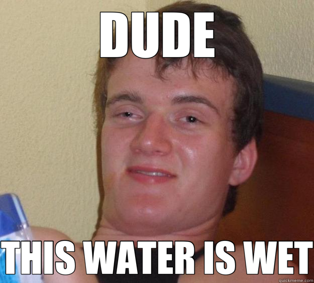 DUDE THIS WATER IS WET  10 Guy