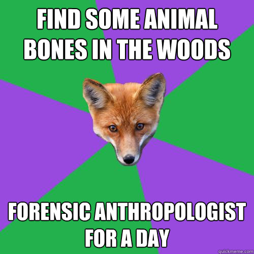 find some animal bones in the woods forensic anthropologist for a day - find some animal bones in the woods forensic anthropologist for a day  Anthropology Major Fox
