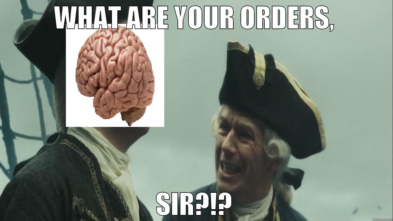 WHAT ARE YOUR ORDERS, SIR?!? Misc