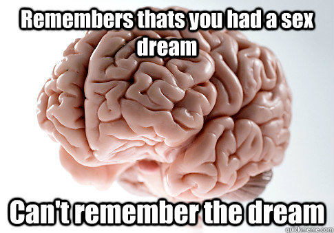 Remembers thats you had a sex dream Can't remember the dream   Scumbag Brain