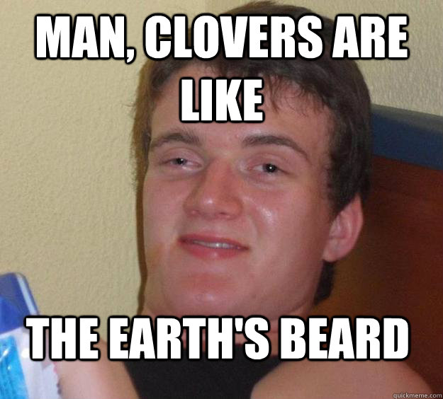 Man, clovers are like the earth's beard - Man, clovers are like the earth's beard  10 Guy