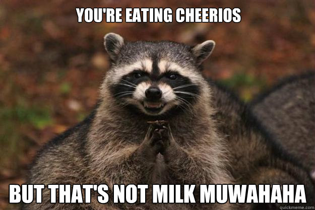 You're eating cheerios BUT THAT'S NOT MILK Muwahaha  Evil Plotting Raccoon