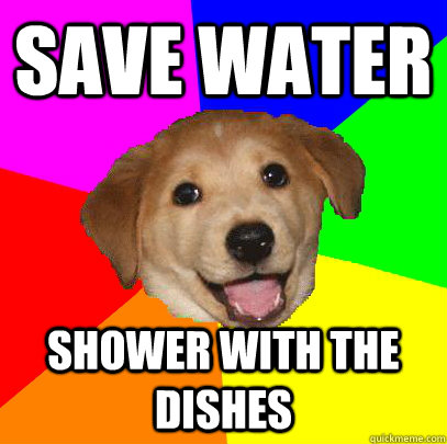 Save water Shower with the dishes  Advice Dog