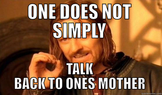 WHAT YOU NEVER DO - ONE DOES NOT SIMPLY TALK BACK TO ONES MOTHER Boromir