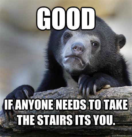 Good If anyone needs to take the stairs its you. - Good If anyone needs to take the stairs its you.  Confession Bear