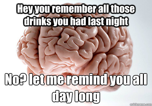 Hey you remember all those drinks you had last night No? let me remind you all day long  Scumbag Brain