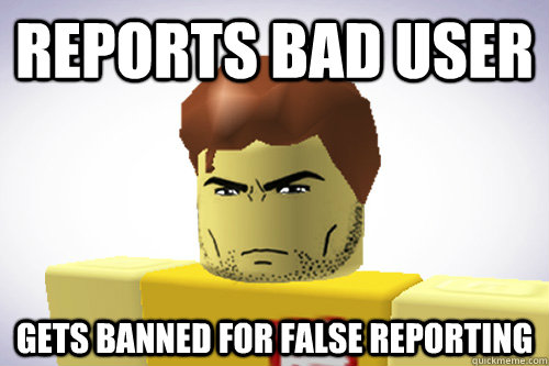 REPORTS BAD USER GETS BANNED FOR FALSE REPORTING  WTF ROBLOX
