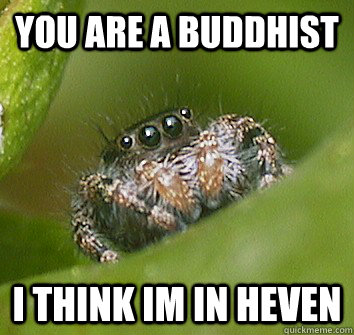 you are a Buddhist i think im in heven - you are a Buddhist i think im in heven  Misunderstood Spider
