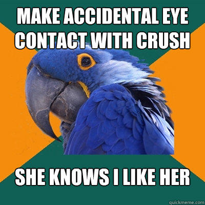 make accidental eye contact with crush she knows i like her - make accidental eye contact with crush she knows i like her  Paranoid Parrot