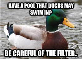 Have a pool that ducks may swim in?  Be careful of the filter..   Good Advice Duck