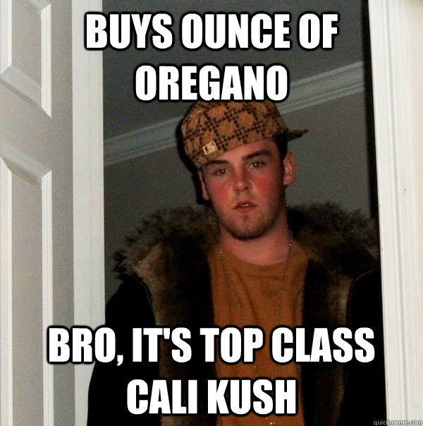 Buys ounce of oregano bro, it's top class cali kush  Scumbag Steve