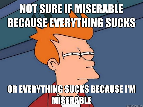 Not sure if miserable because everything sucks or everything sucks because I'm miserable  Futurama Fry