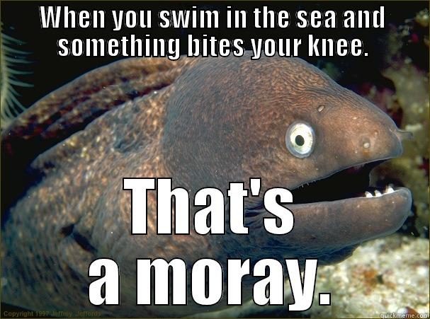 WHEN YOU SWIM IN THE SEA AND SOMETHING BITES YOUR KNEE. THAT'S A MORAY. Bad Joke Eel