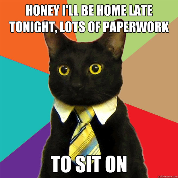 Honey I'll be home late tonight, lots of paperwork To sit on  Business Cat