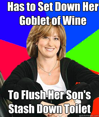 Has to Set Down Her Goblet of Wine To Flush Her Son's Stash Down Toilet - Has to Set Down Her Goblet of Wine To Flush Her Son's Stash Down Toilet  Sheltering Suburban Mom