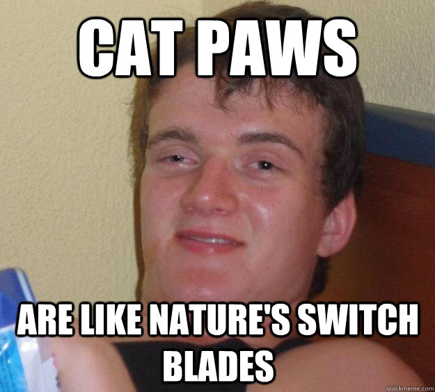 cat paws are like nature's switch blades - cat paws are like nature's switch blades  10 Guy