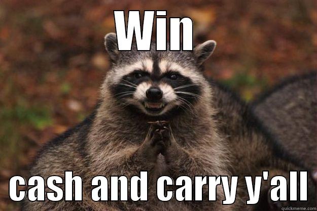 WIN   CASH AND CARRY Y'ALL Evil Plotting Raccoon