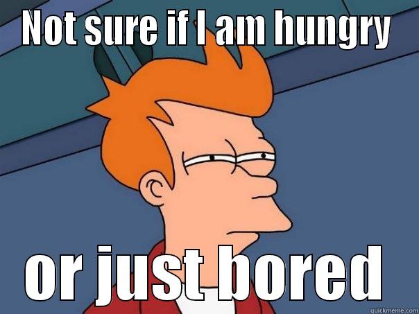 Not Sure - NOT SURE IF I AM HUNGRY OR JUST BORED Futurama Fry