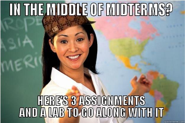 IN THE MIDDLE OF MIDTERMS? HERE'S 3 ASSIGNMENTS AND A LAB TO GO ALONG WITH IT Scumbag Teacher