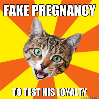 fake pregnancy to test his loyalty  Bad Advice Cat