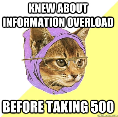 Knew about Information Overload Before Taking 500 - Knew about Information Overload Before Taking 500  Hipster Kitty