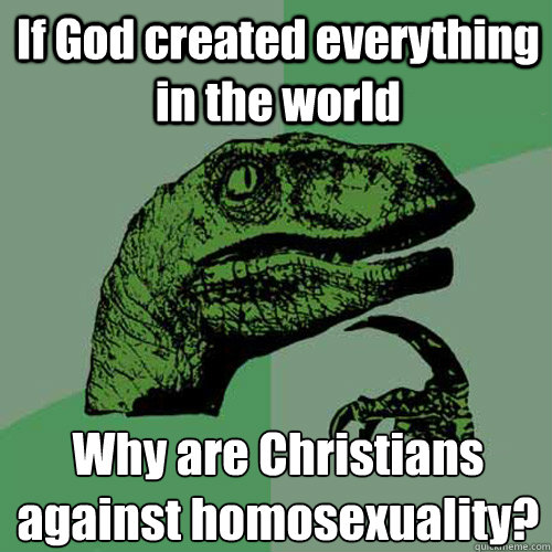 If God created everything in the world Why are Christians against homosexuality?  Philosoraptor