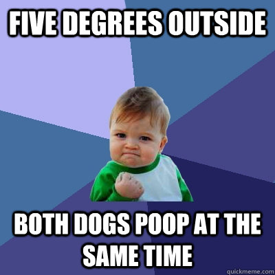 five degrees outside both dogs poop at the same time - five degrees outside both dogs poop at the same time  Success Kid
