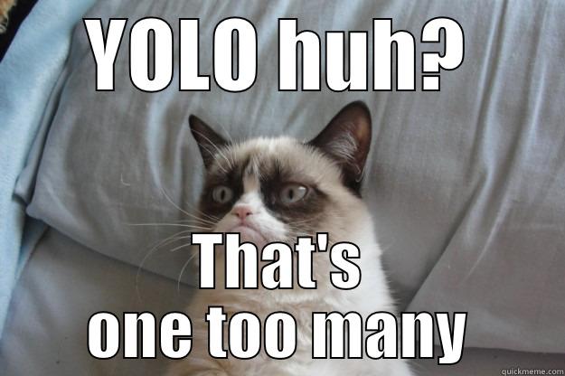 YOLO HUH? THAT'S ONE TOO MANY Grumpy Cat