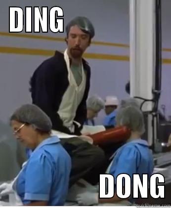DING DONG! - DING                                       DONG Misc