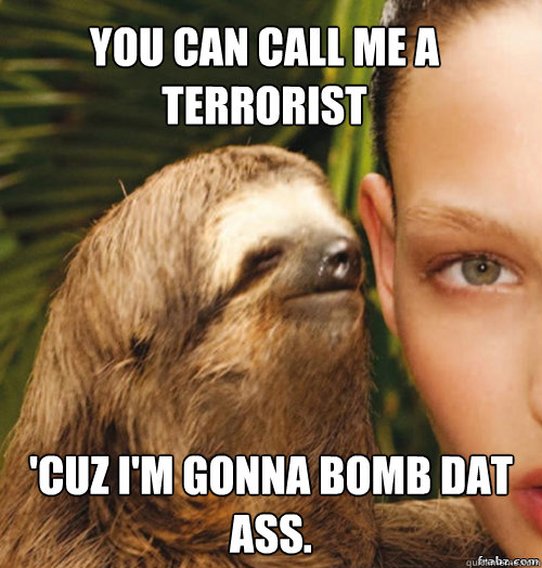 You can call me a terrorist 'Cuz I'm gonna bomb dat ass.  rape sloth