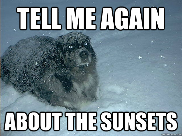 Tell me again about the sunsets - Tell me again about the sunsets  Tell Me Again Dog