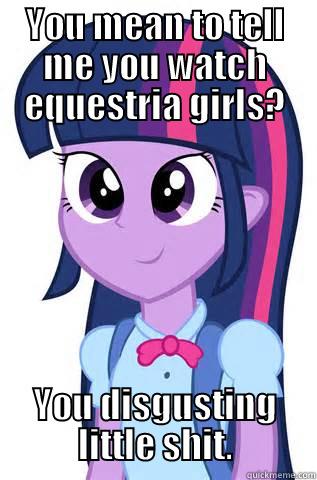 You disgusting little shit. - YOU MEAN TO TELL ME YOU WATCH EQUESTRIA GIRLS? YOU DISGUSTING LITTLE SHIT. Misc