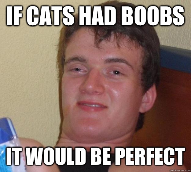 If cats had boobs It would be perfect  10 Guy