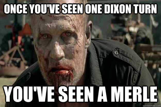 ONCE YOU'VE SEEN ONE DIXON TURN YOU'VE SEEN A MERLE  