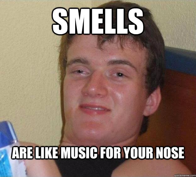 smells are like music for your nose  - smells are like music for your nose   The High Guy