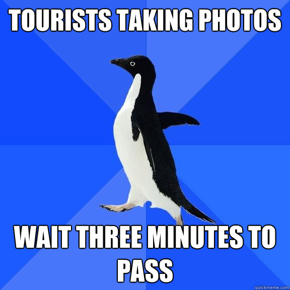 tourists taking photos wait three minutes to pass  Socially Awkward Penguin