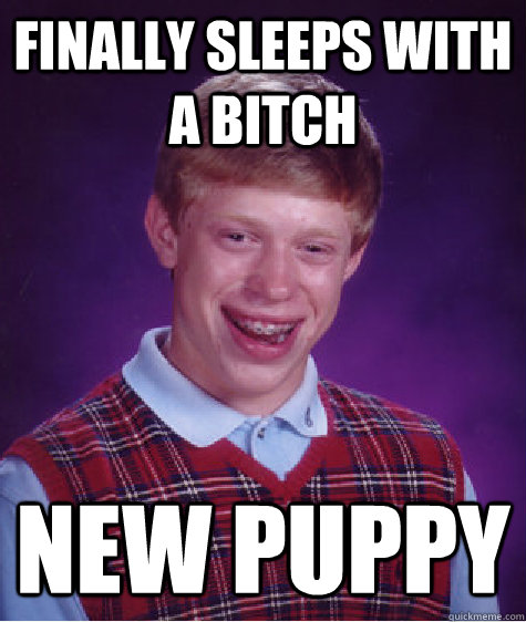 finally sleeps with a bitch new puppy   Bad Luck Brian