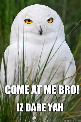 come at me bro! iz dare yah - come at me bro! iz dare yah  Owl meme 7