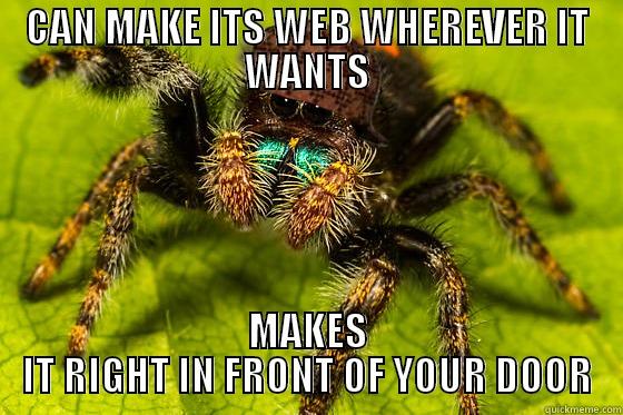 CAN MAKE ITS WEB WHEREVER IT WANTS MAKES IT RIGHT IN FRONT OF YOUR DOOR Misc