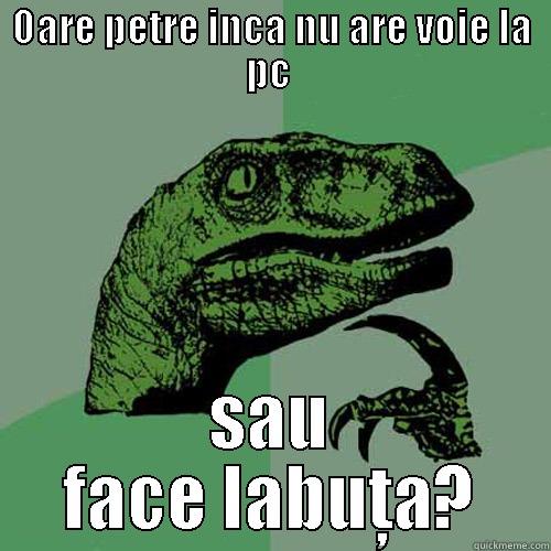 OARE PETRE INCA NU ARE VOIE LA PC  SAU FACE LABUŢA? Philosoraptor