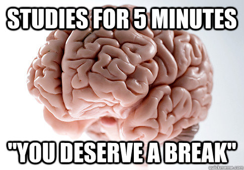 Studies for 5 minutes 