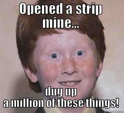 Strip mines!  - OPENED A STRIP MINE... DUG UP A MILLION OF THESE THINGS! Over Confident Ginger