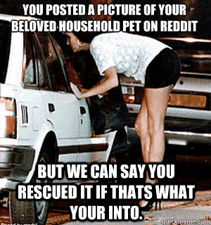 You posted a picture of your beloved household pet on reddit But we can say you rescued it if thats what your into.  Karma Whore