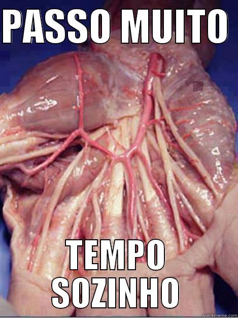 PASSO MUITO  TEMPO SOZINHO Misc