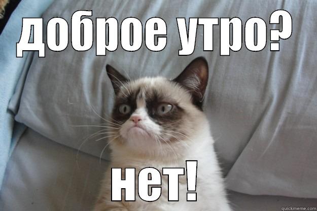 ДОБРОЕ УТРО? НЕТ! Grumpy Cat