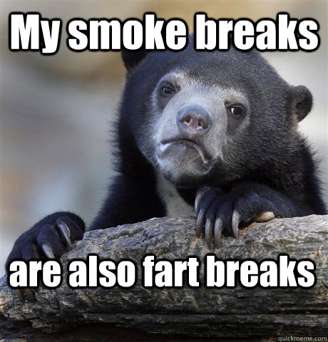 My smoke breaks are also fart breaks  Confession Bear